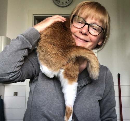 Katze10m
